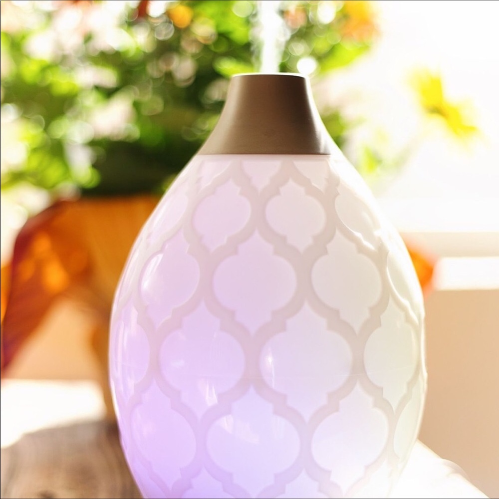 🌟NWT🌟YOUNG LIVING Desert Mist Diffuser